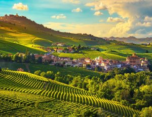 tour organizzati in pullman langhe