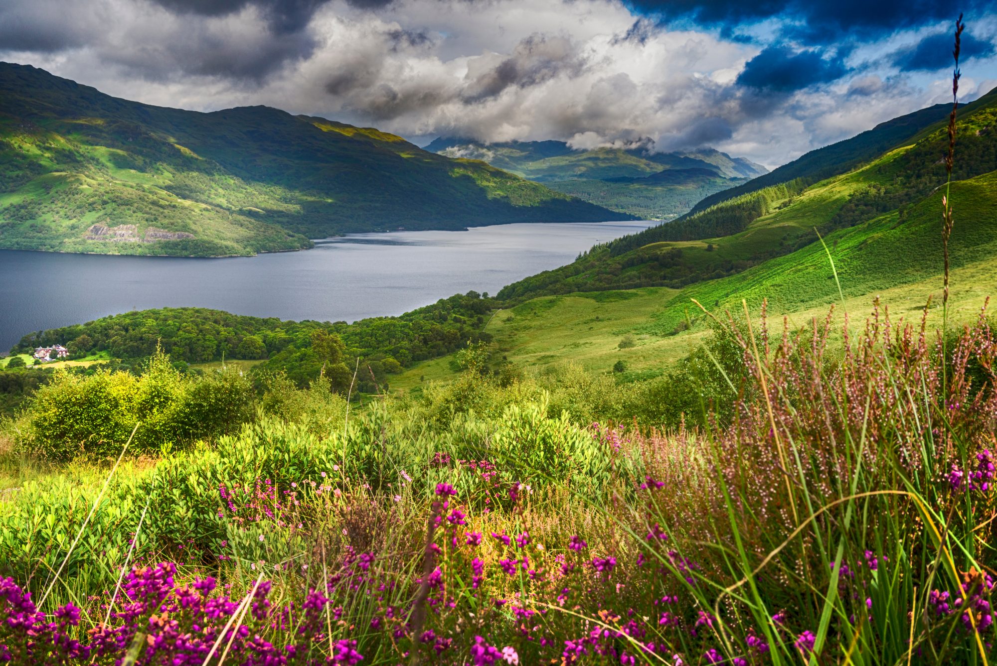 Loch Lomond shutterstock_1008443512