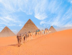 Camel,Caravan,In,Front,Of,The,Great,Pyramid,Of,Giza